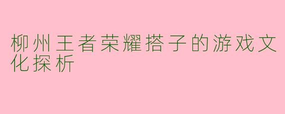 柳州王者荣耀搭子的游戏文化探析
