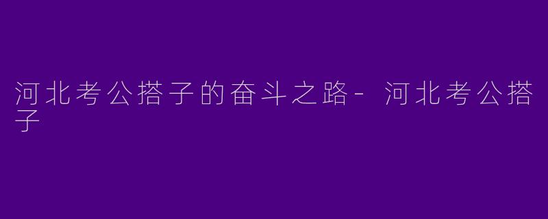 河北考公搭子的奋斗之路-河北考公搭子