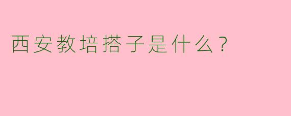 西安教培搭子是什么?