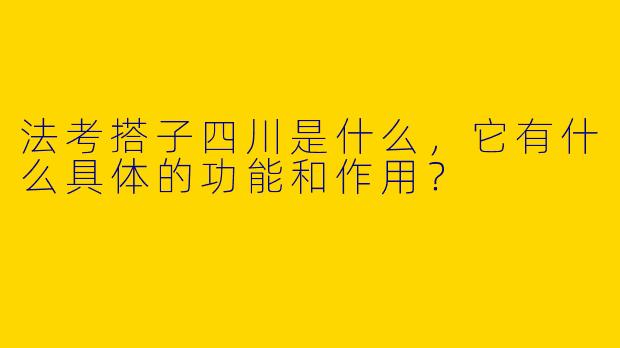 法考搭子四川是什么,它有什么具体的功能和作用?