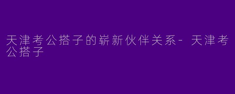 天津考公搭子的崭新伙伴关系