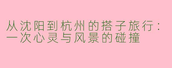 从沈阳到杭州的搭子旅行:一次心灵与风景的碰撞
