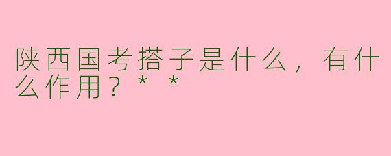陕西国考搭子是什么，有什么作用？**