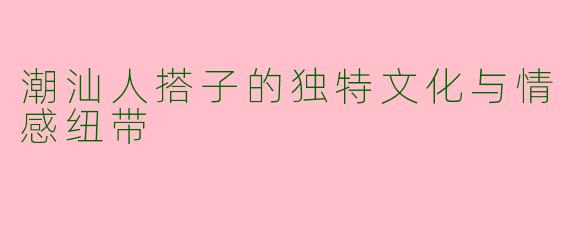 潮汕人搭子的独特文化与情感纽带