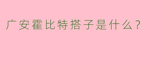 广安霍比特搭子是什么?