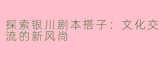 探索银川剧本搭子：文化交流的新风尚