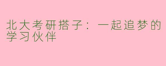 北大考研搭子:一起追梦的学习伙伴