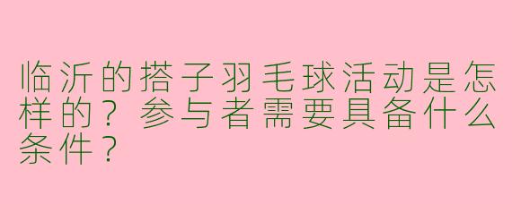 临沂的搭子羽毛球活动是怎样的?参与者需要具备什么条件?