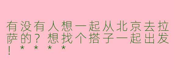 有没有人想一起从北京去拉萨的？想找个搭子一起出发！****