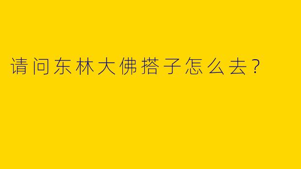 请问东林大佛搭子怎么去？