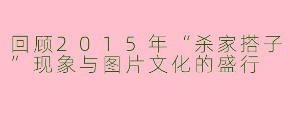 回顾2015年“杀家搭子”现象与图片文化的盛行
