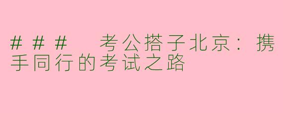 ### 考公搭子北京：携手同行的考试之路