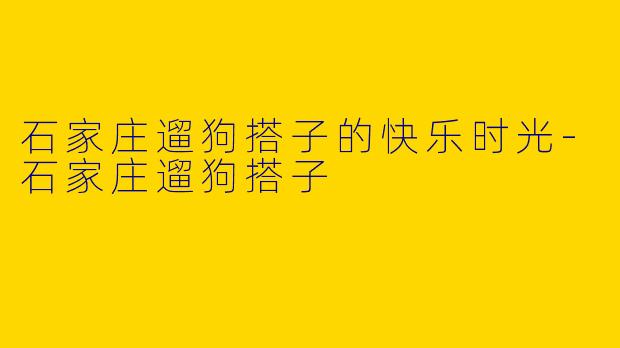 石家庄遛狗搭子的快乐时光-石家庄遛狗搭子