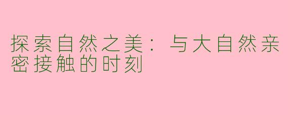 探索自然之美：与大自然亲密接触的时刻