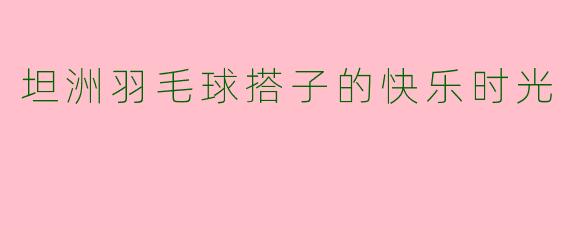 坦洲羽毛球搭子的快乐时光