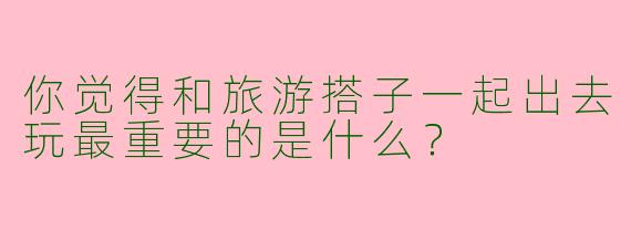 你觉得和旅游搭子一起出去玩最重要的是什么？
