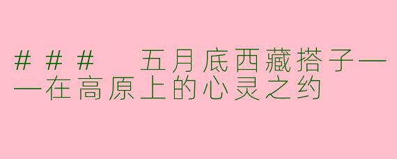 ### 五月底西藏搭子——在高原上的心灵之约