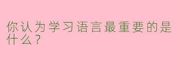 你认为学习语言最重要的是什么?