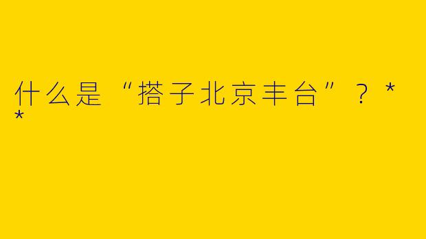 什么是“搭子北京丰台”？**