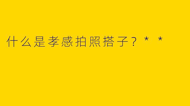 什么是孝感拍照搭子?**