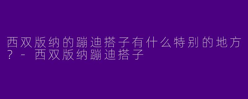 西双版纳的蹦迪搭子有什么特别的地方？