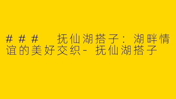 ### 抚仙湖搭子:湖畔情谊的美好交织