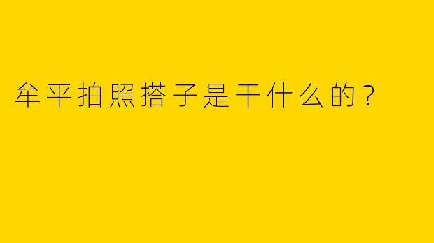 牟平拍照搭子是干什么的?