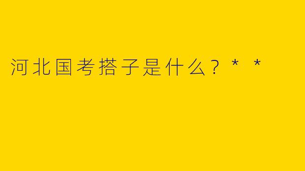 河北国考搭子是什么？**
