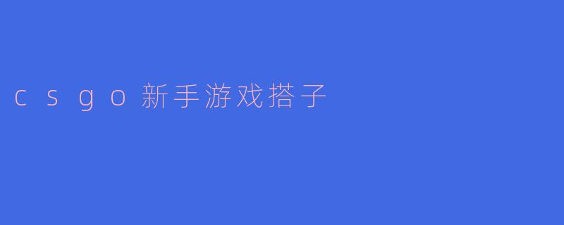 csgo新手游戏搭子