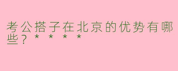 考公搭子在北京的优势有哪些？****