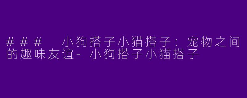 ### 小狗搭子小猫搭子：宠物之间的趣味友谊