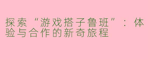 探索“游戏搭子鲁班”：体验与合作的新奇旅程