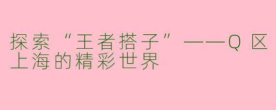 探索“王者搭子”——Q区上海的精彩世界
