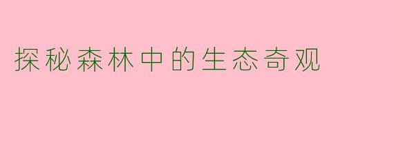 探秘森林中的生态奇观
