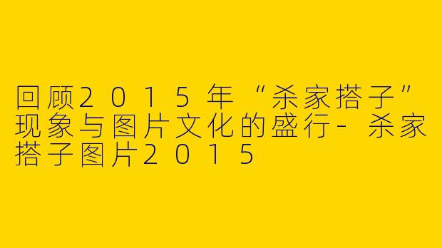 回顾2015年“杀家搭子”现象与图片文化的盛行