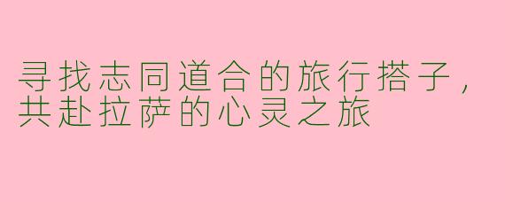 寻找志同道合的旅行搭子，共赴拉萨的心灵之旅