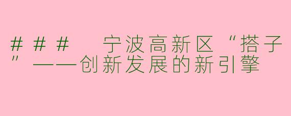 ### 宁波高新区“搭子”——创新发展的新引擎