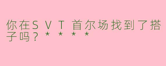 你在SVT首尔场找到了搭子吗?****