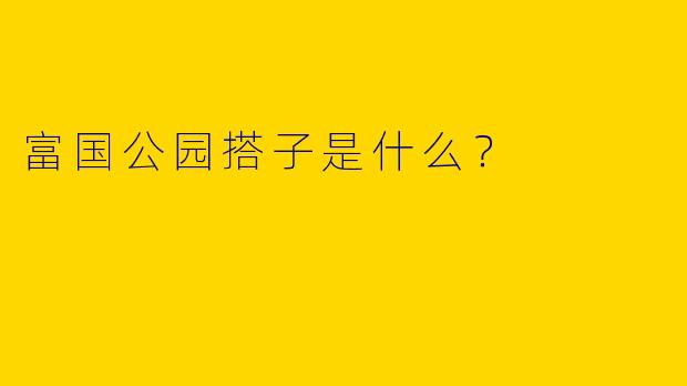 富国公园搭子是什么？  