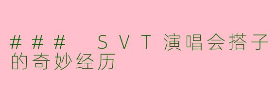 ### SVT演唱会搭子的奇妙经历