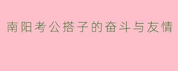 南阳考公搭子的奋斗与友情