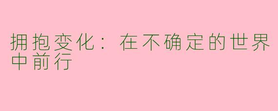 拥抱变化：在不确定的世界中前行