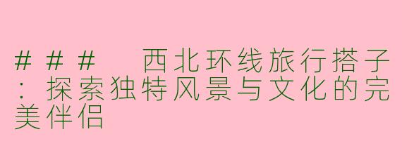 ### 西北环线旅行搭子：探索独特风景与文化的完美伴侣