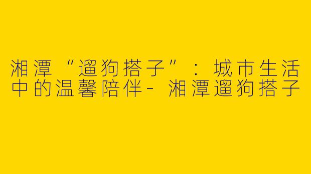 湘潭“遛狗搭子”：城市生活中的温馨陪伴