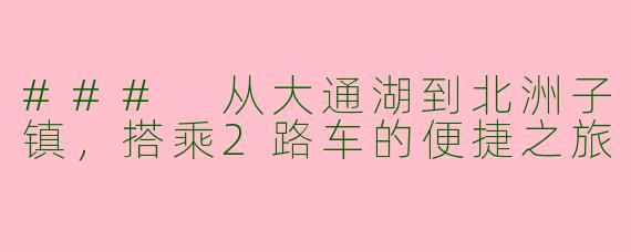 ### 从大通湖到北洲子镇,搭乘2路车的便捷之旅