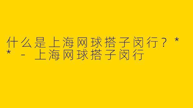 什么是上海网球搭子闵行?**