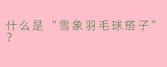 什么是“雪象羽毛球搭子”？  