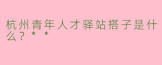 杭州青年人才驿站搭子是什么?**