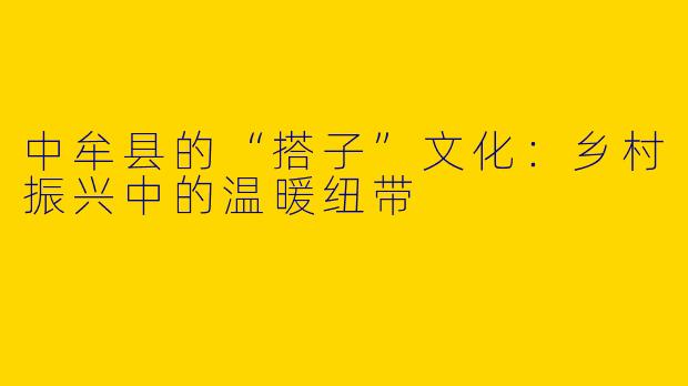 中牟县的“搭子”文化:乡村振兴中的温暖纽带