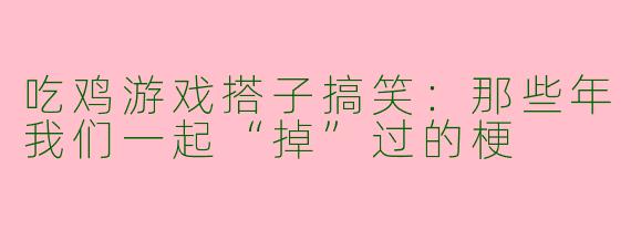 吃鸡游戏搭子搞笑：那些年我们一起“掉”过的梗